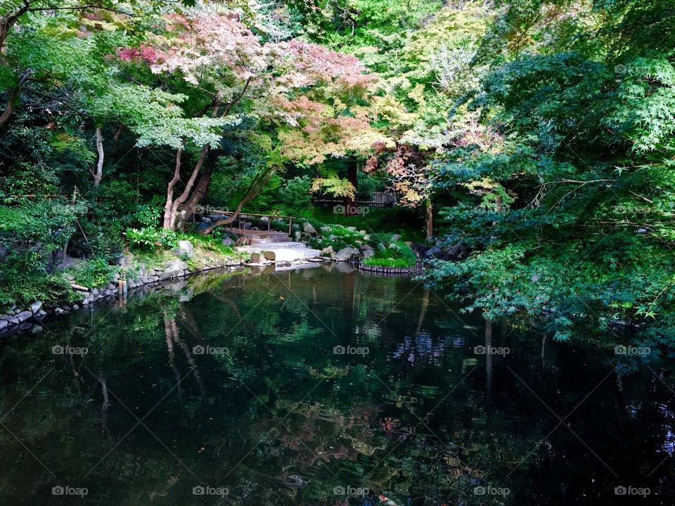 Kamakura,Japan 