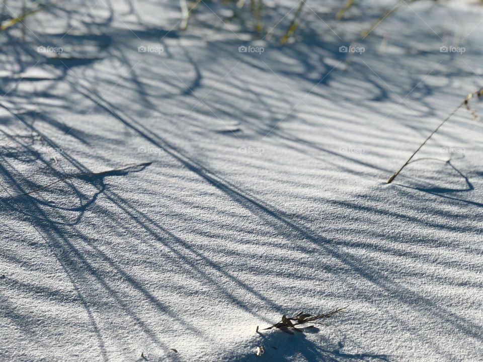 Closeup details of ripples in the beach sand and shadows of sea oats