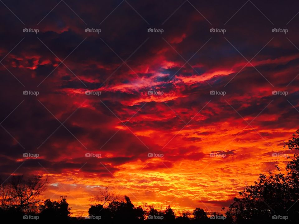 Looking out my front door in Texas. The future has many colors that coax the sun to rise. 