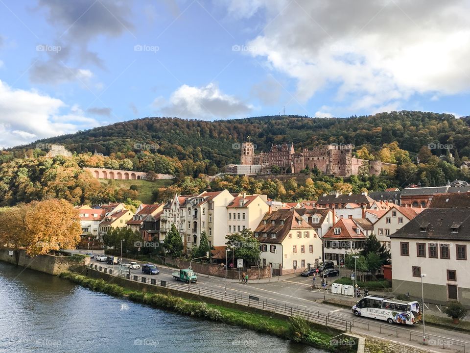 heidelberg view