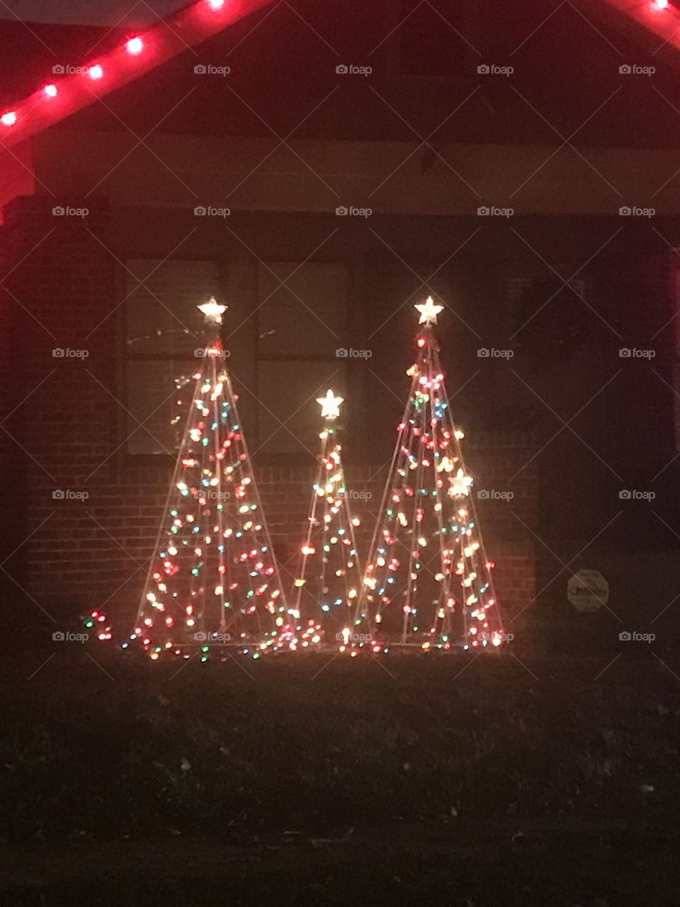Three Christmas Tree's 