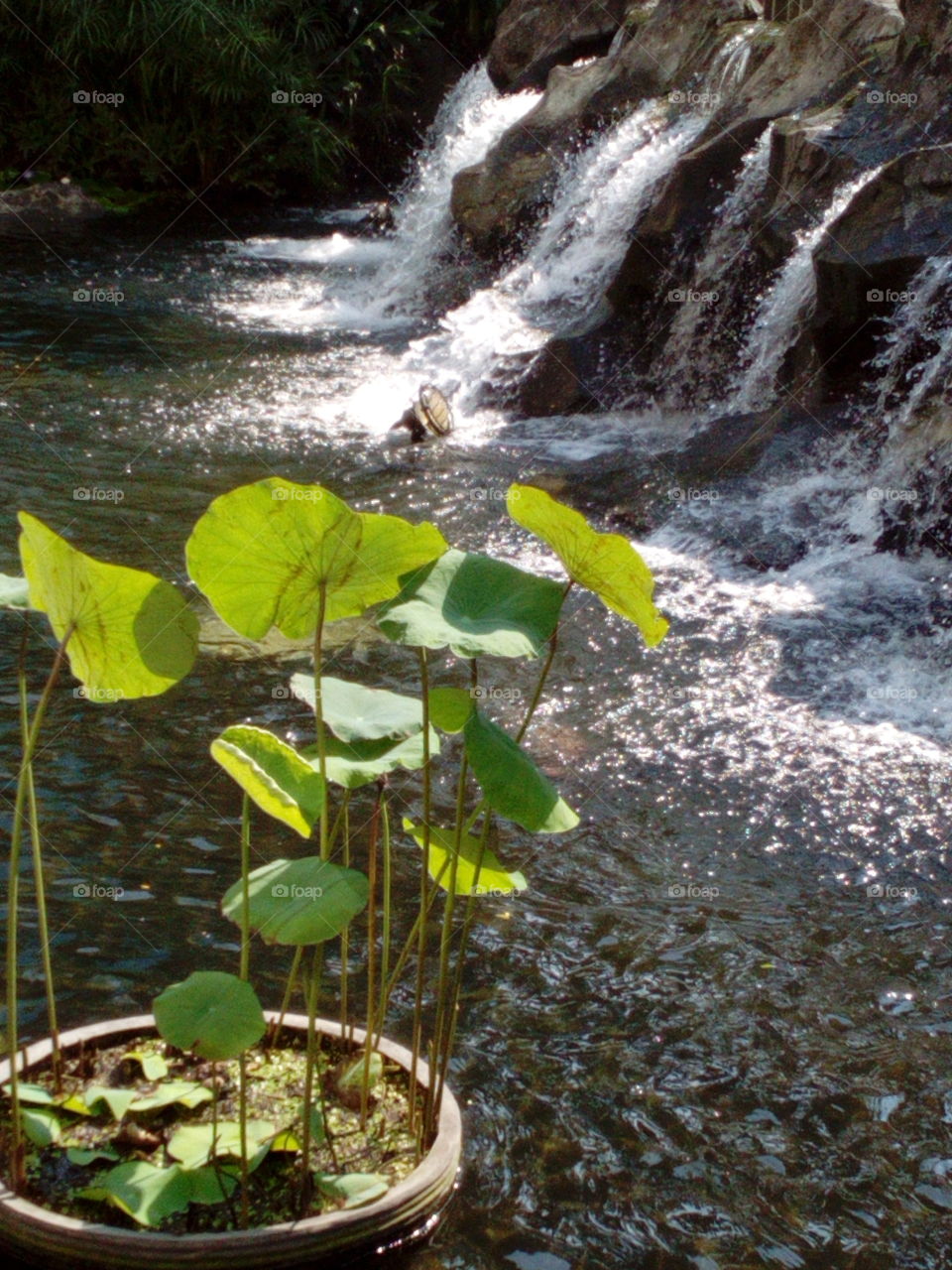 Waterfall