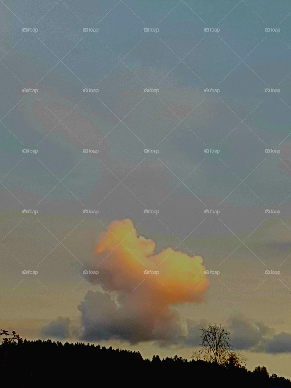 cloud in the evening