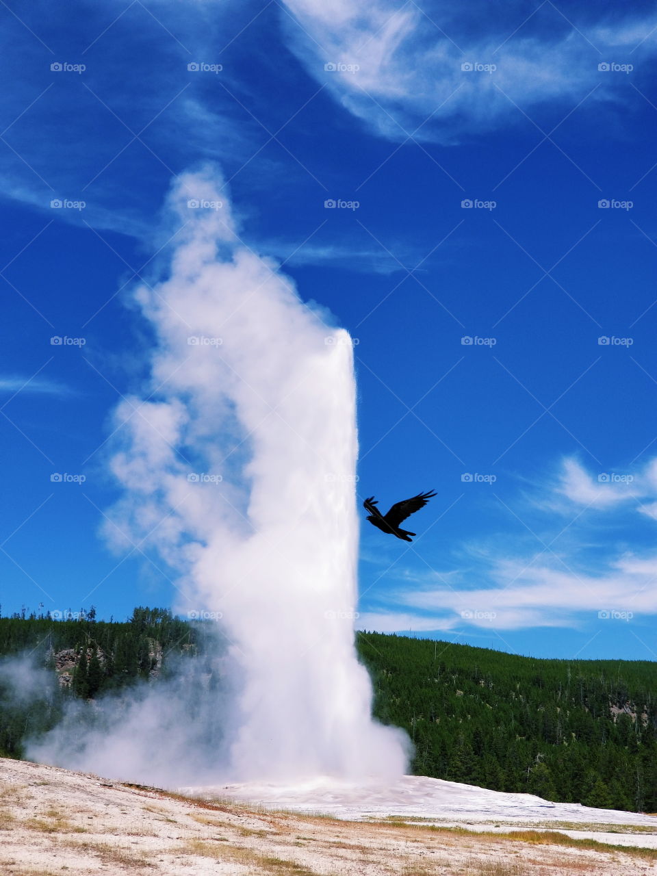 Good' Ol faithful, Yellowstone National Park.
Old Faithful was the first named geyser in YNP.

In the early days of the park, genius human race sometimes used the geyser to wash their clothes. 