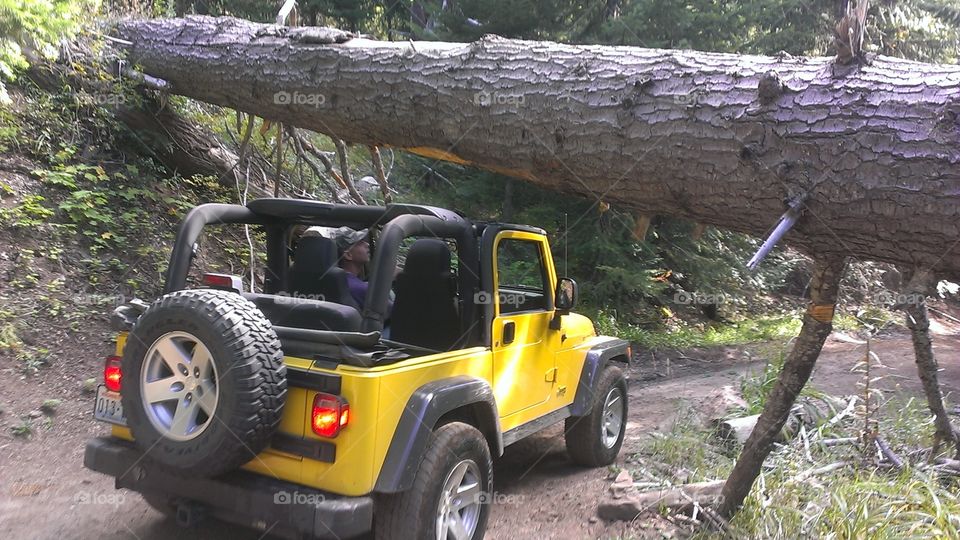 love Jeep. fitting underneath a fallen tree