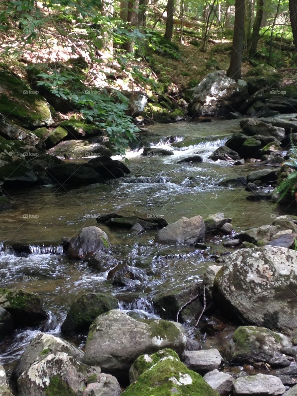 Mountain stream 