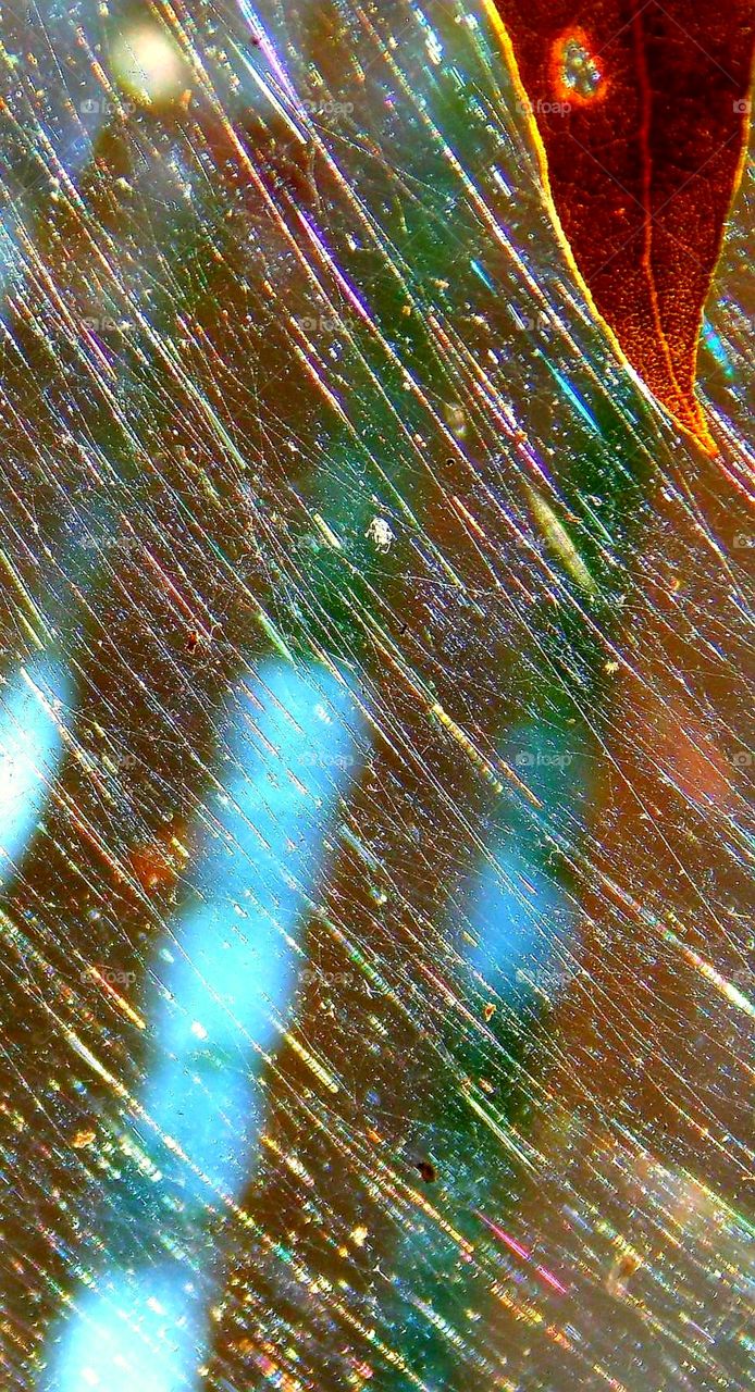 An attempt to photograph a large spiderweb with a couple leaves stuck in there!!