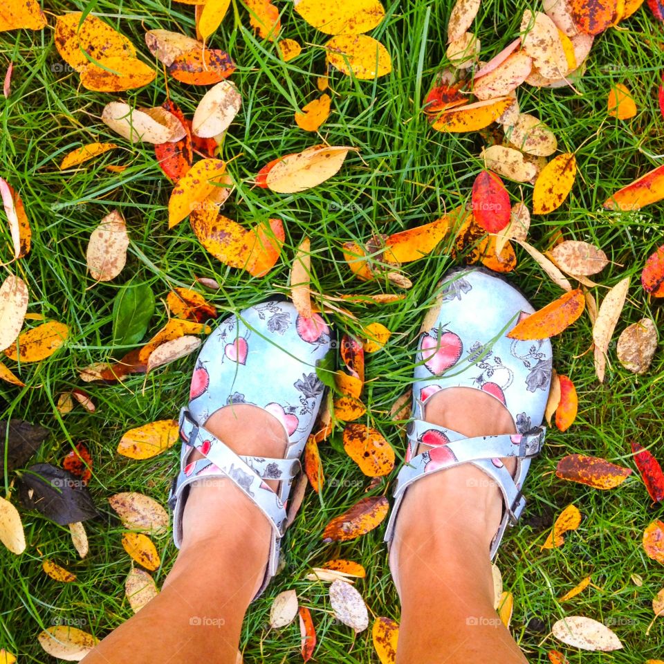 heart slippers on autumn lawn