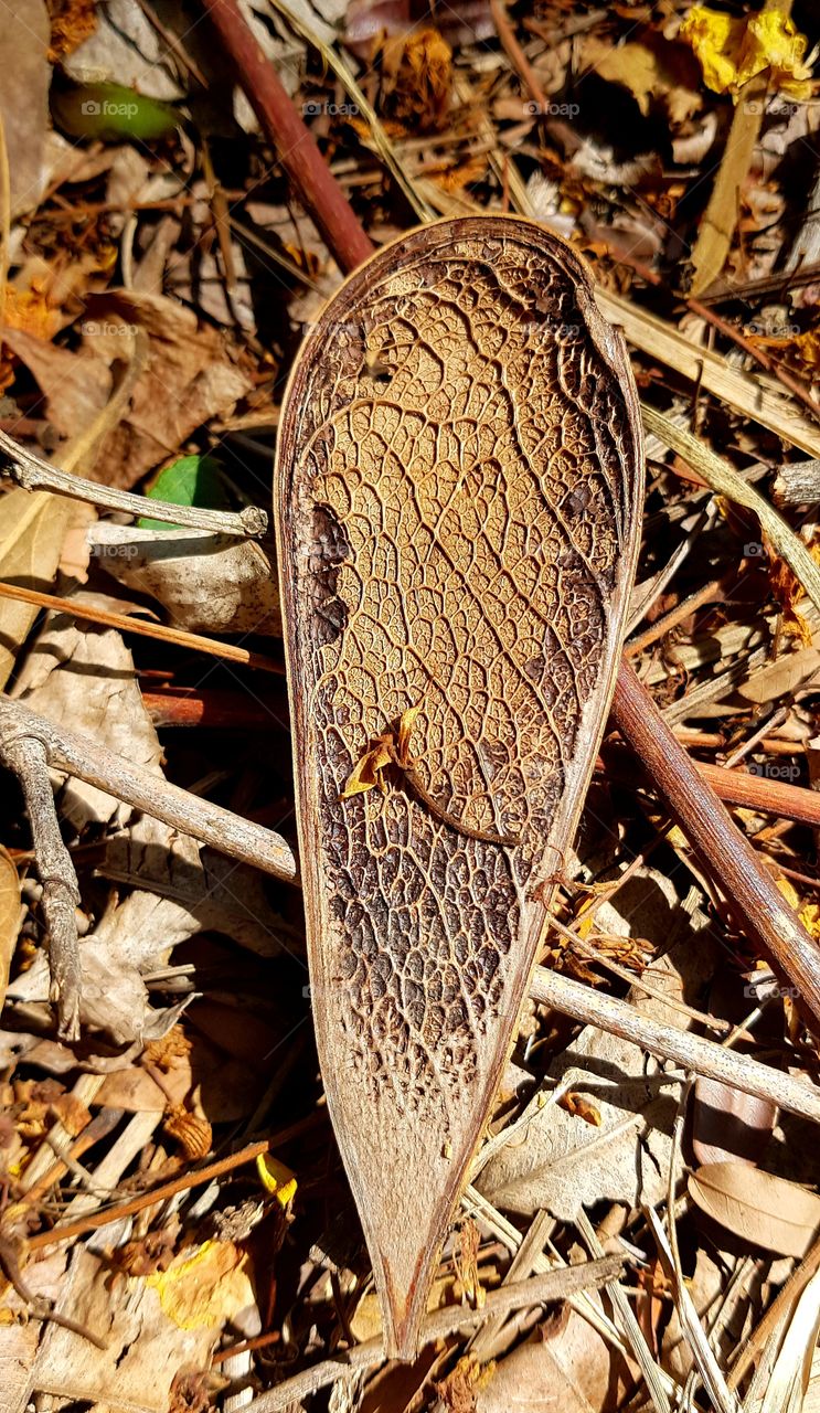 textures of the world