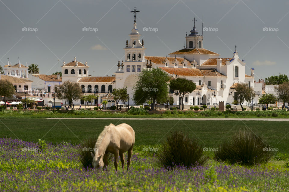 El Rocio, Spain