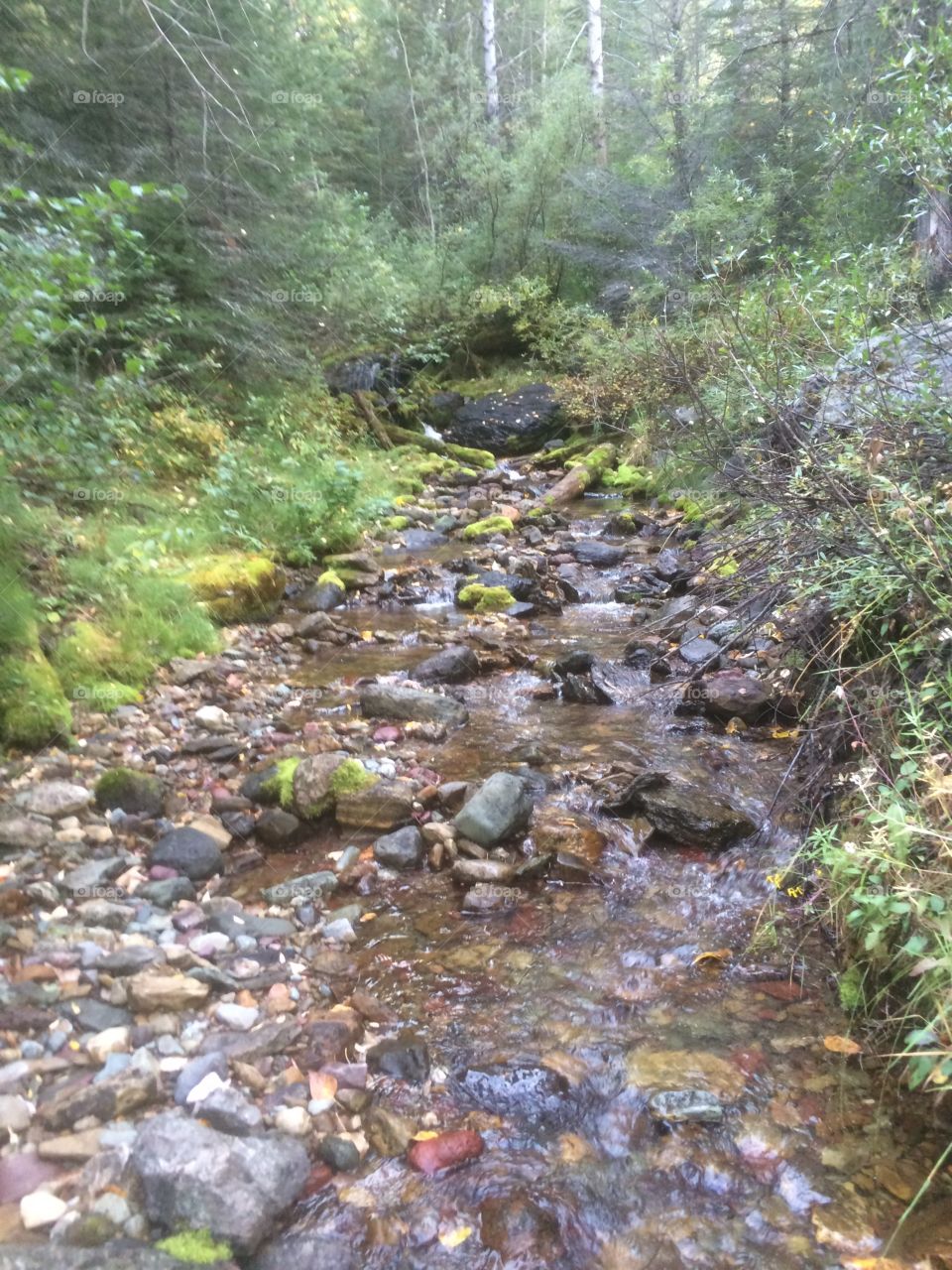 River runs through it