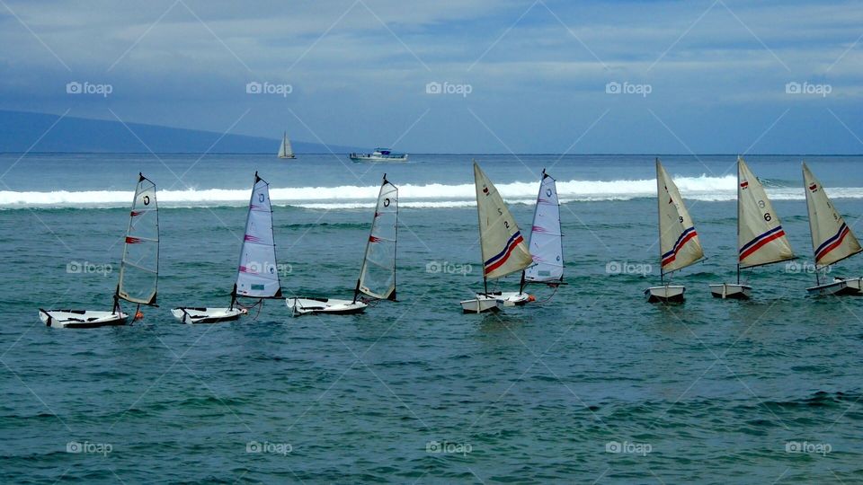 Sailboat parade. Sailboat skippers on beach in hawaii