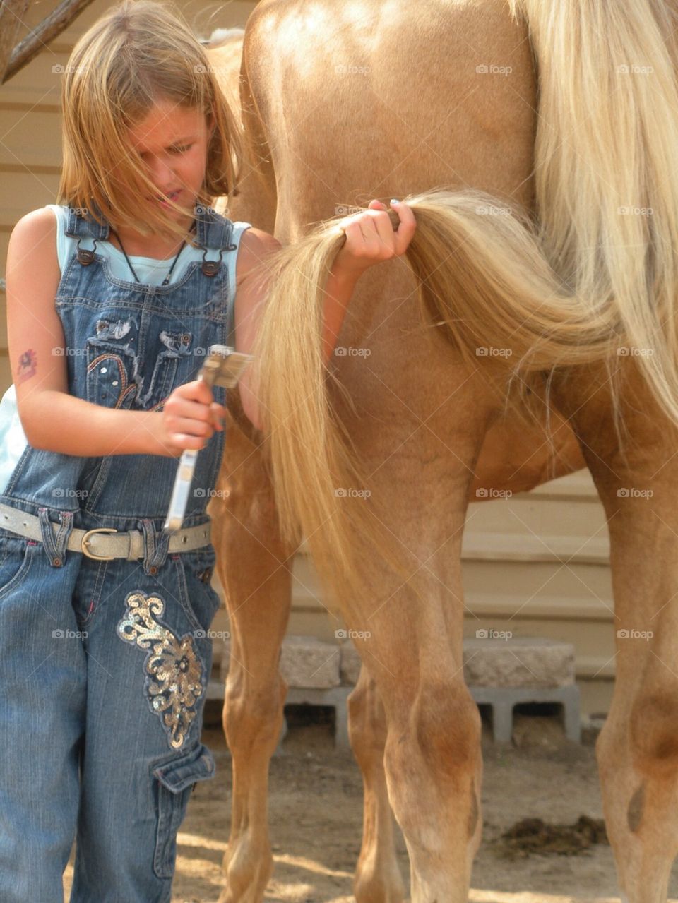 Little Cowgirl