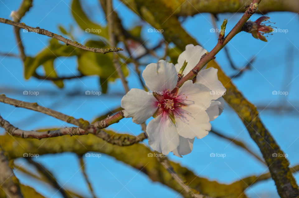 Wonderful spring is started! ✨