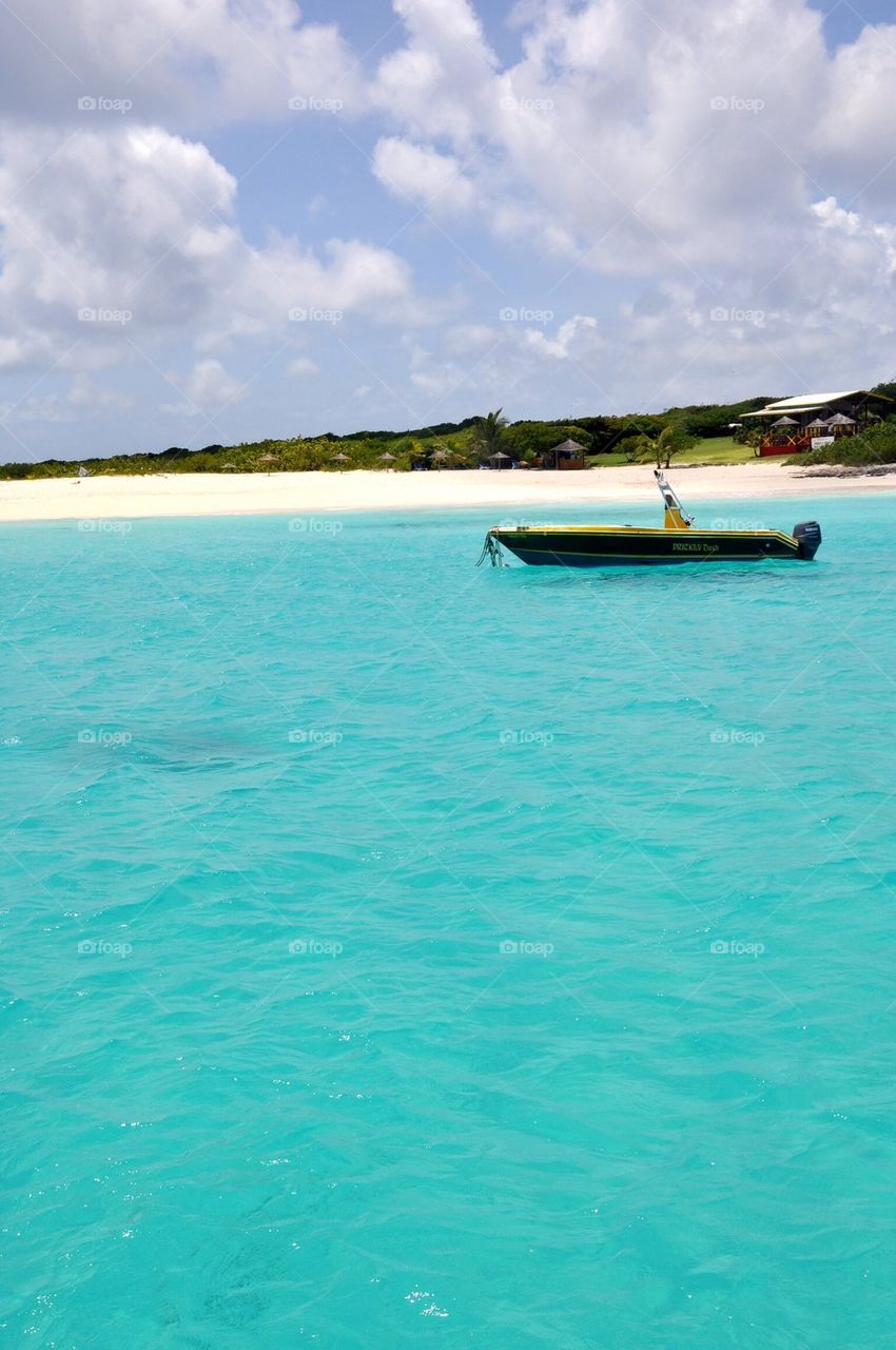 Prickly pier, anguilla
