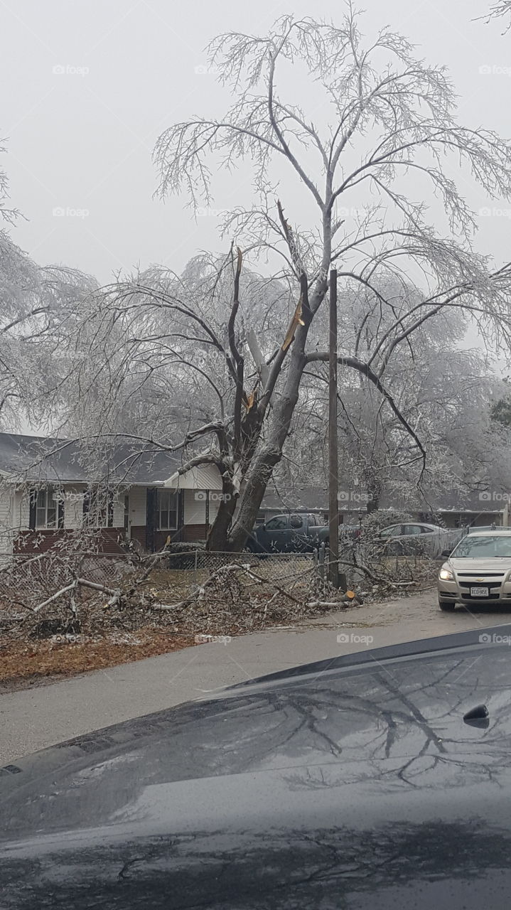 winter storm 2019 Missouri