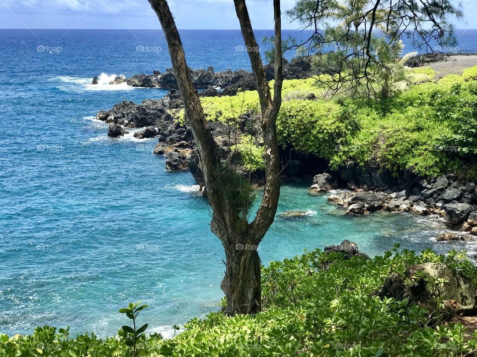 Maui Hana Road