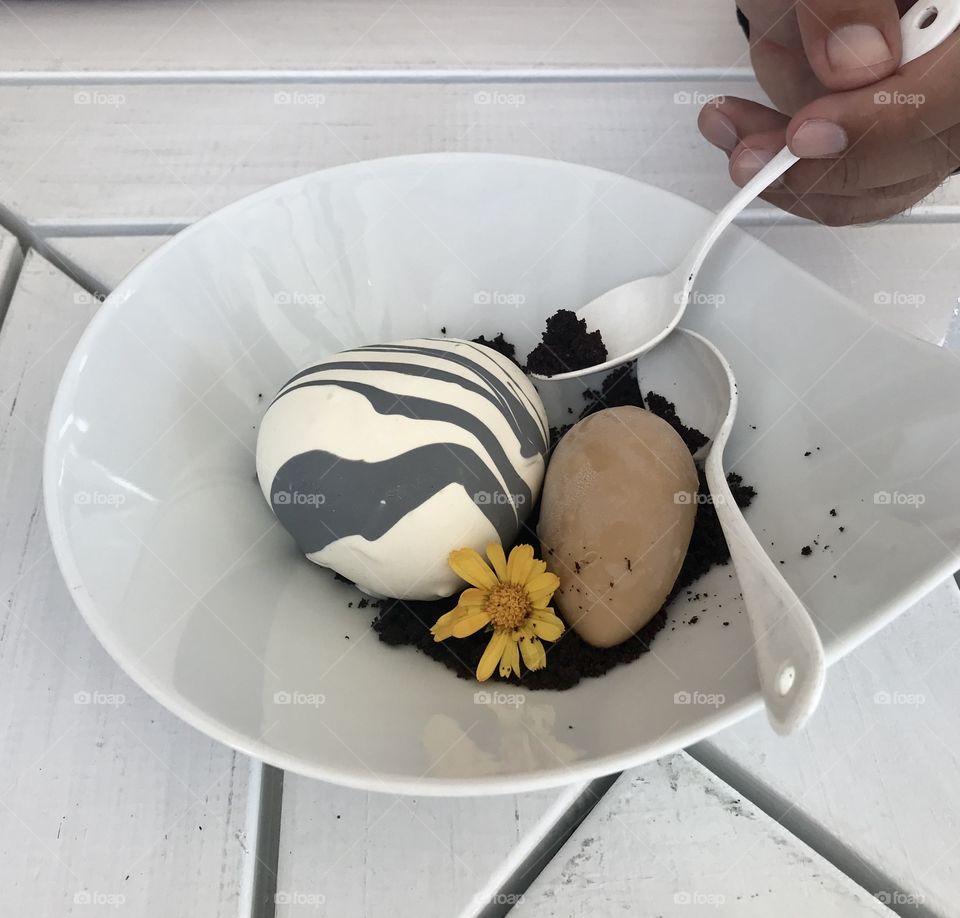 Modern dessert dish - ice cream and chocolate with a flower for styling 