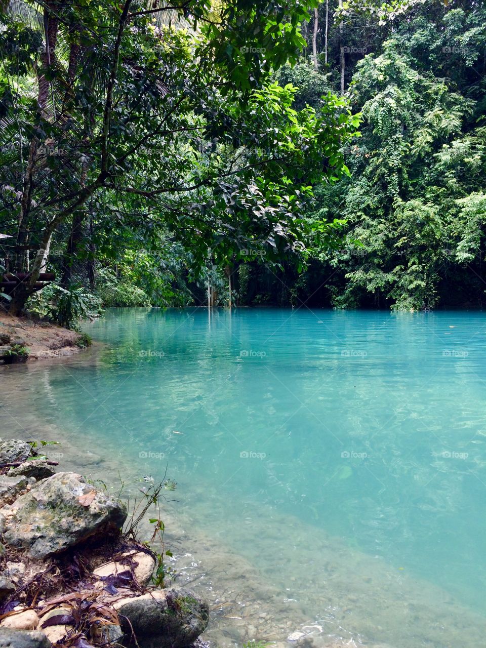 Fantastic river in the jungles of the island of Cebu. Philippines.