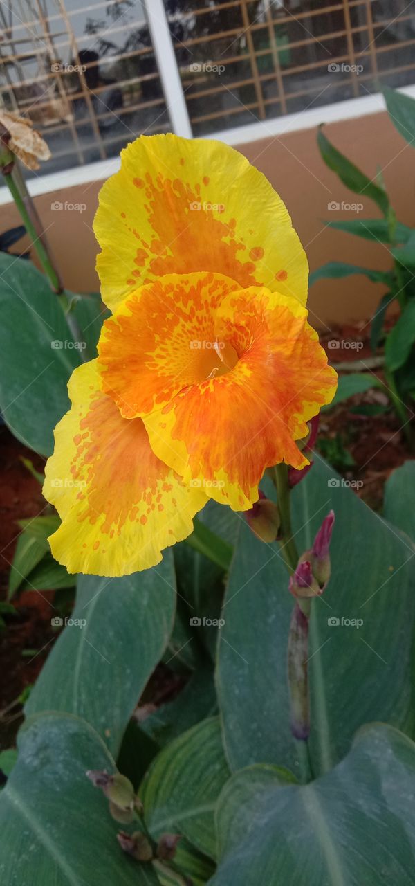 one of the best combination ever of nature ❤️