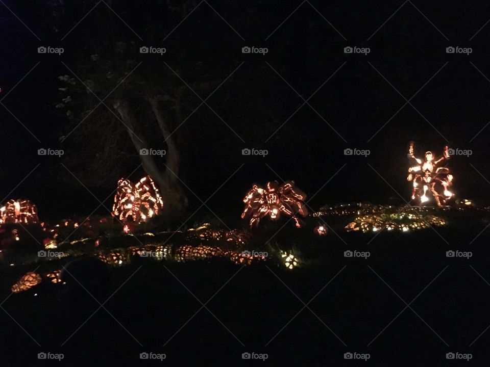 The Great Jack O’Lantern Blaze
