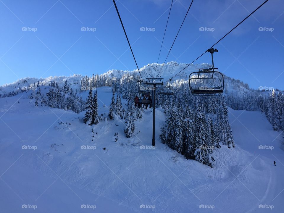 mountain, snow mountain, evergreen trees, snow, snowing. Fog, snowboarding, skiing, sky, 7th heaven , winter, ski resort, frozen, freezing, trees, forest, winter wonderland