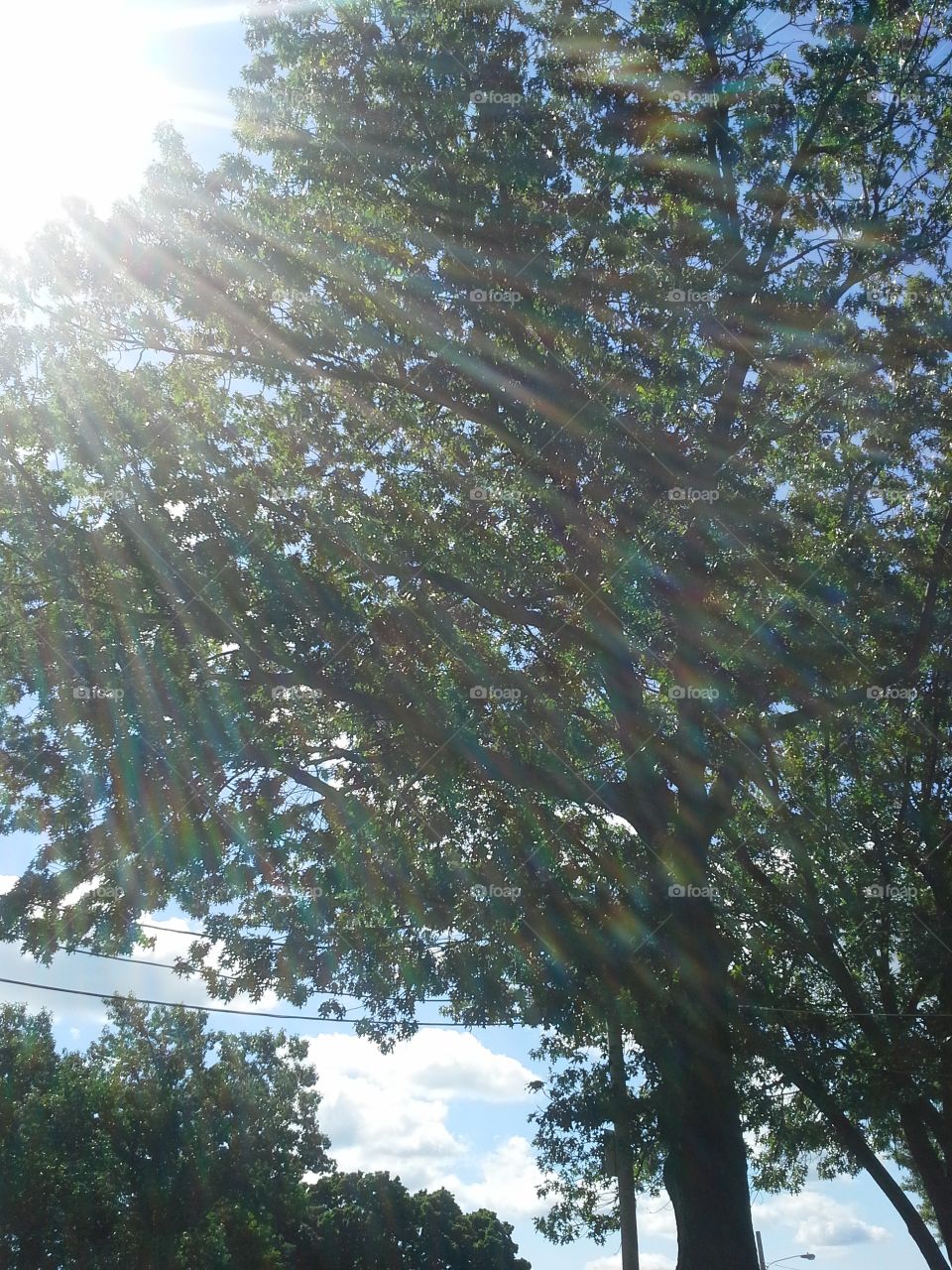 sun rays. random