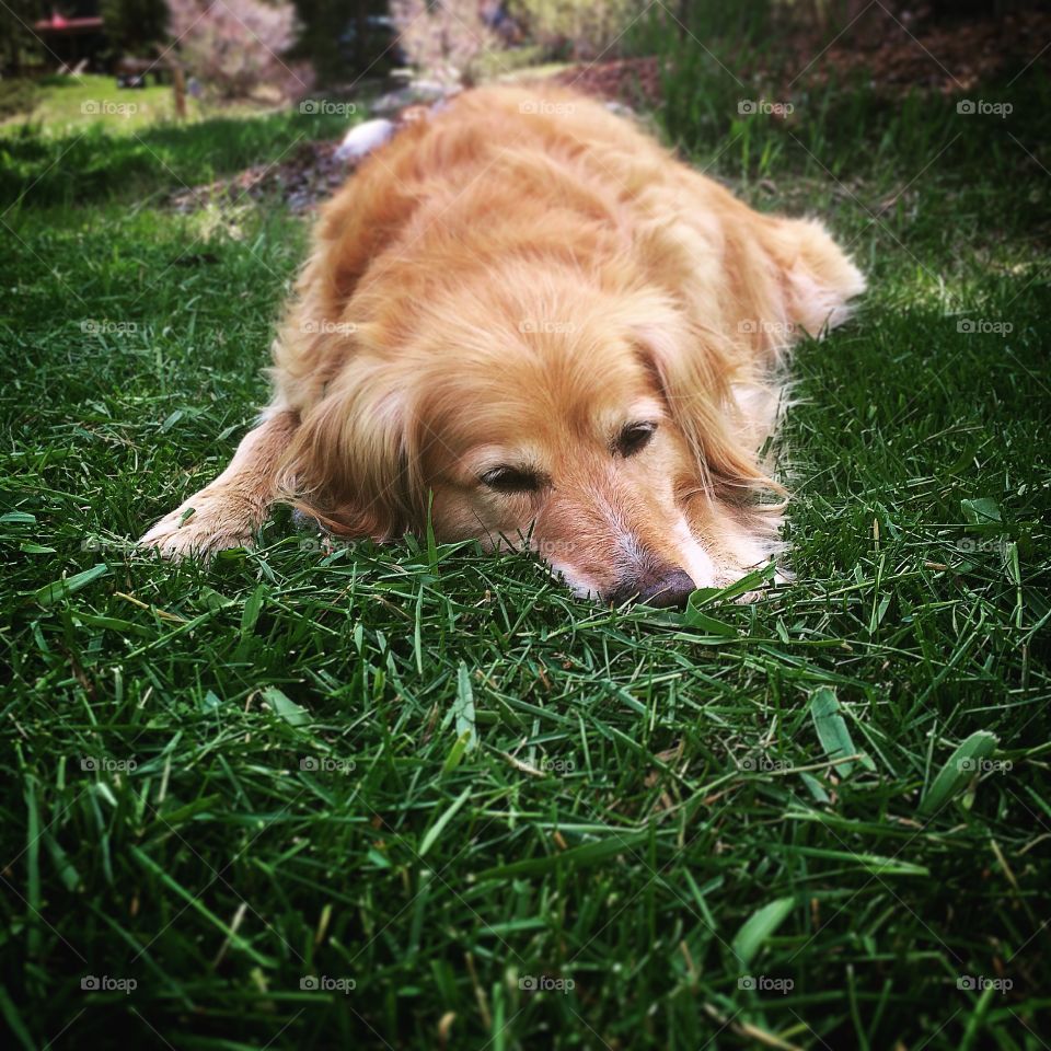 Smelling the fresh cut grass