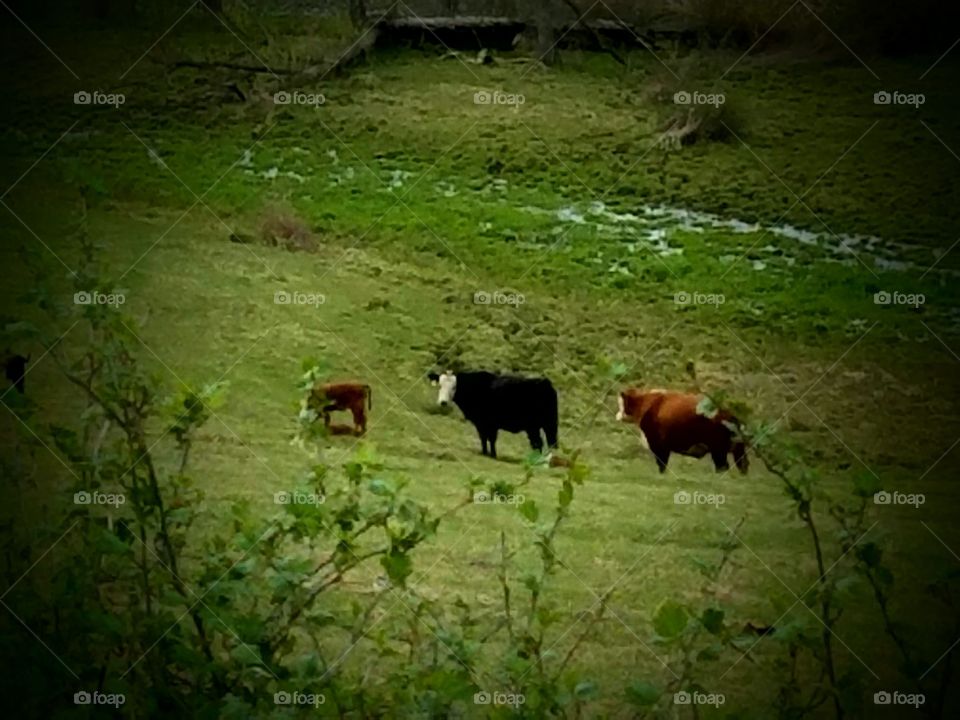 Driving the Back Roads and enjoying everything around us