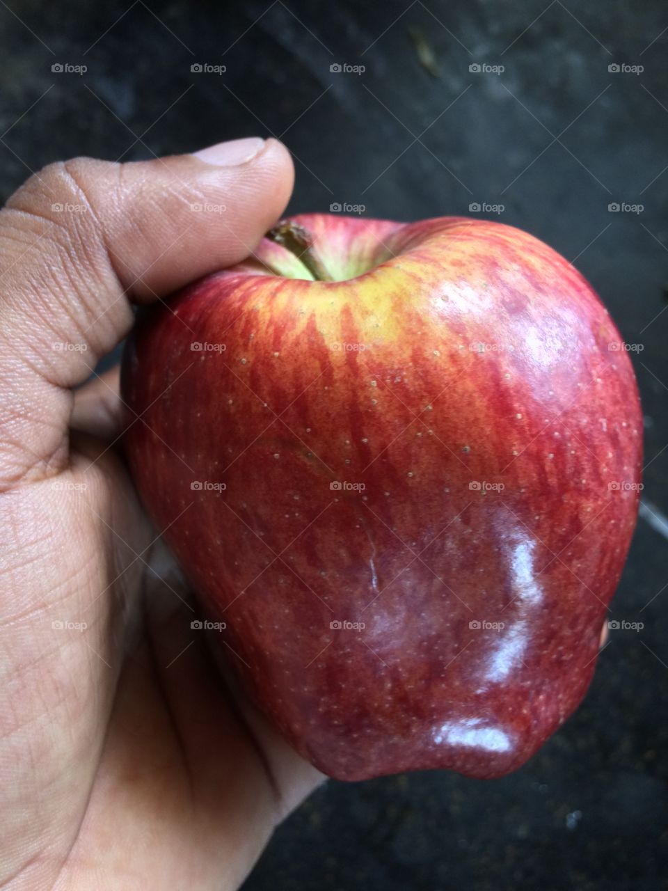 Close-up of hand holding apple