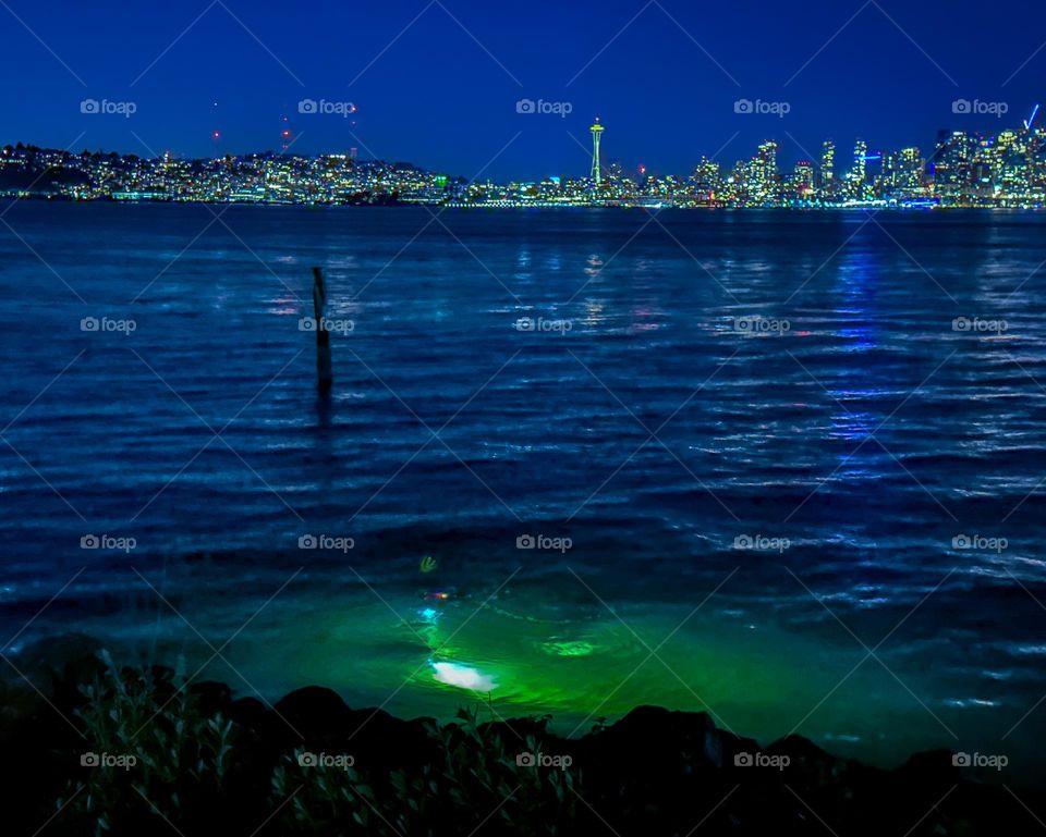Scuba divers illuminating the waters of Puget Sound in seattle 