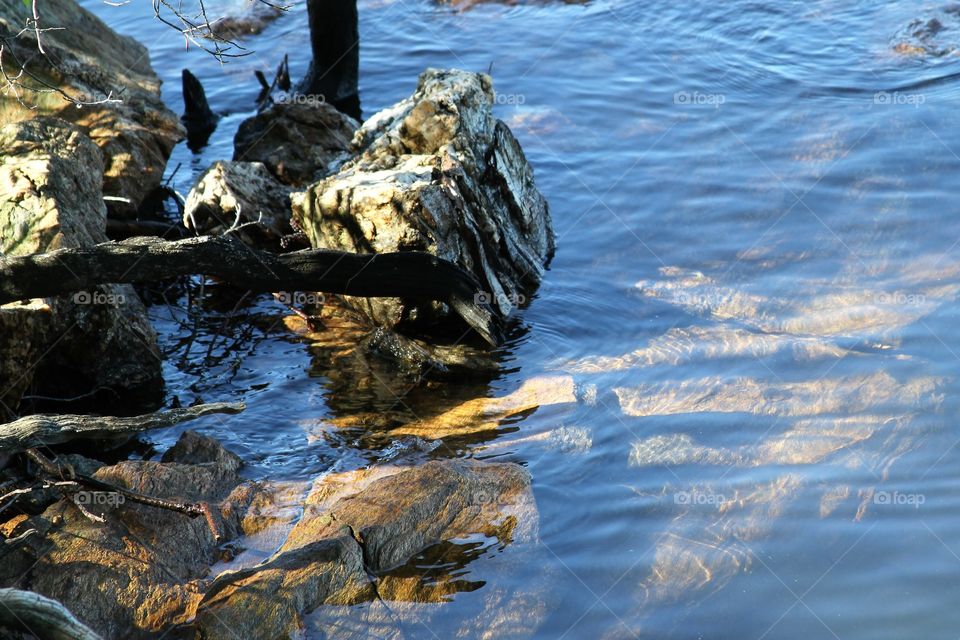 shoreline with rocks and trees