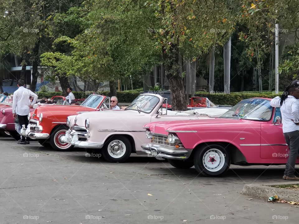 classic cars in Havana