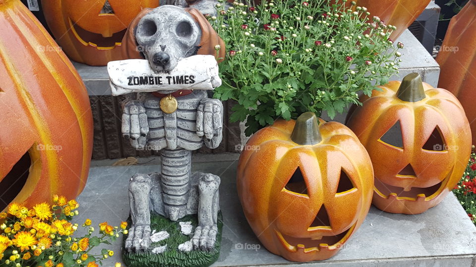 skeleton zombie dog and his pumpkin friends