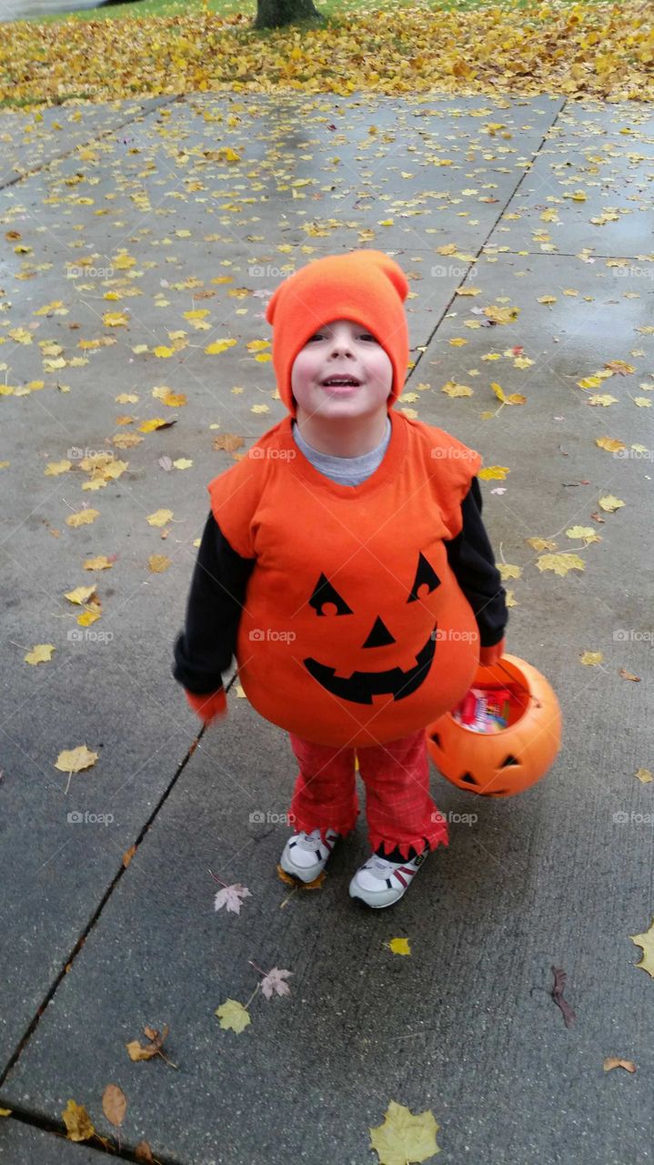 pumpkin in the fall