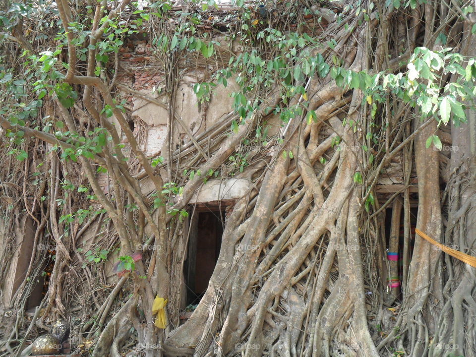 window of a church in Thailand