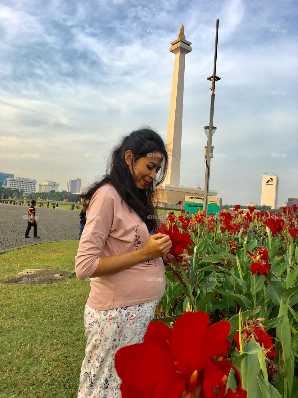 Monas in the afternoon with sky and flowers