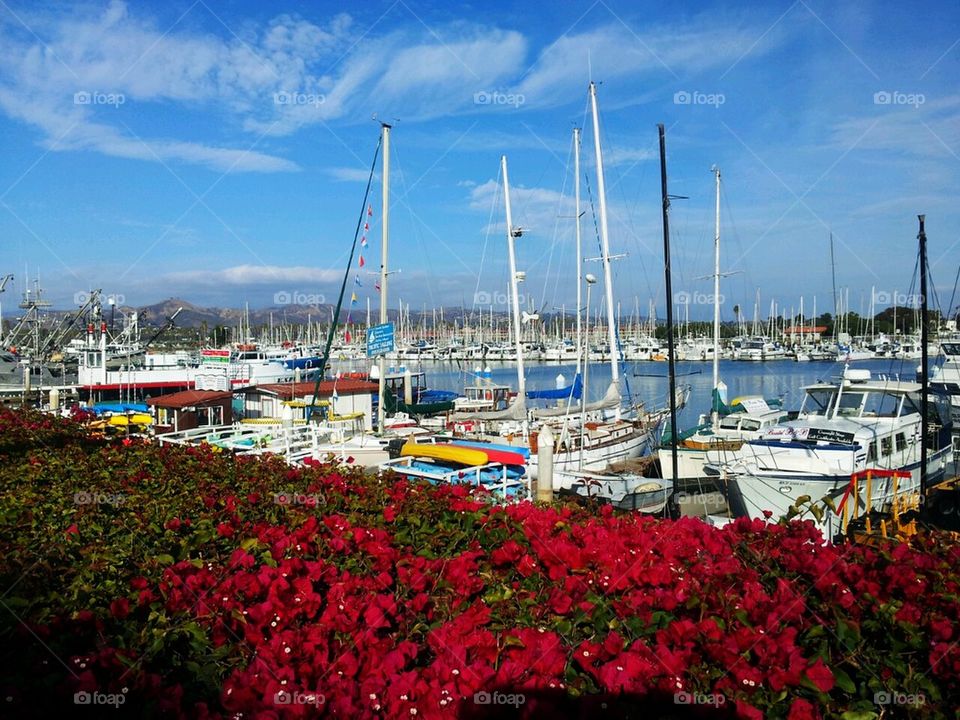Ventura Harbor
