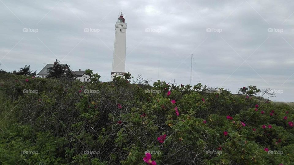 Blåvandshuk Lighthouse