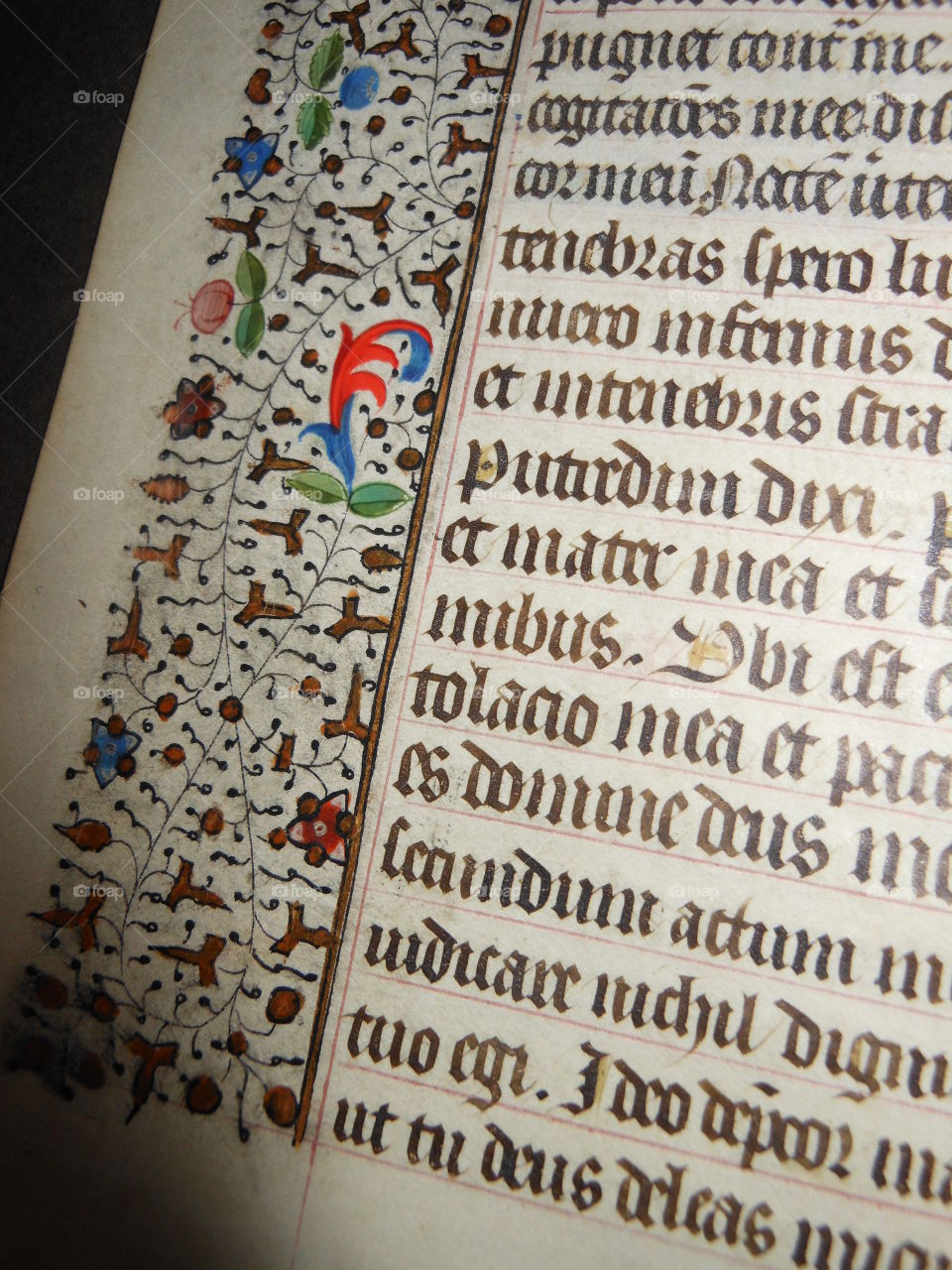 Close up illuminated page