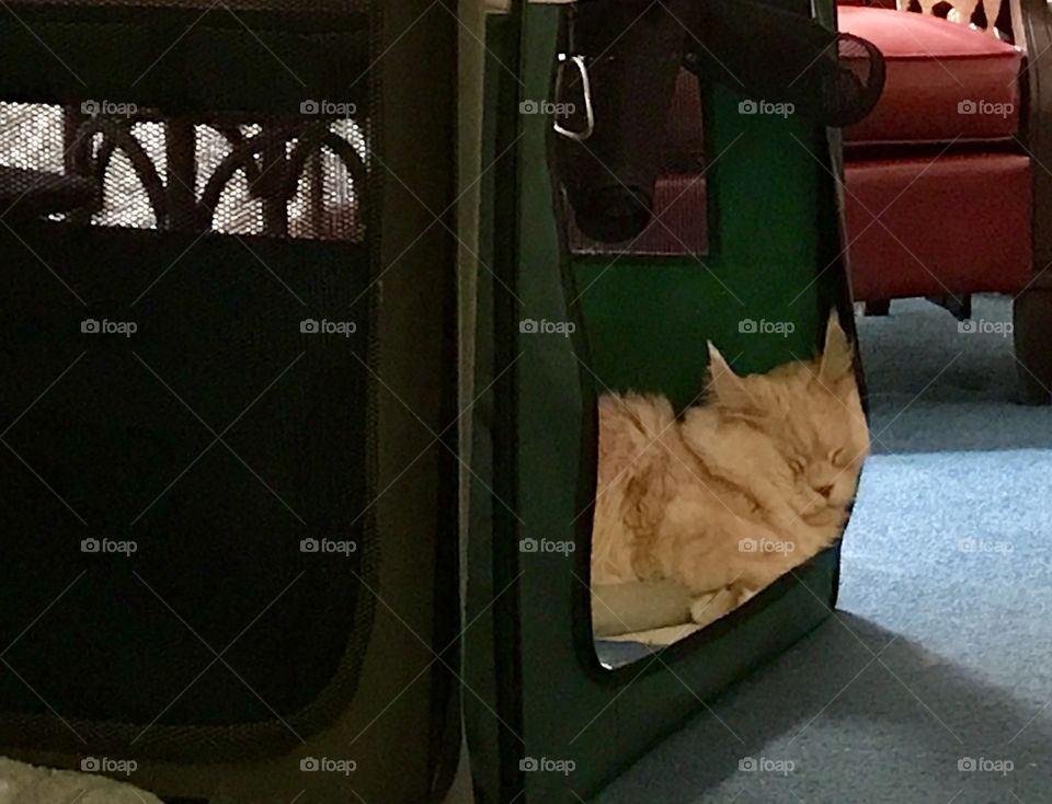 I don’t feel good either .....