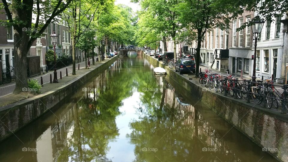 Canal Amsterdam