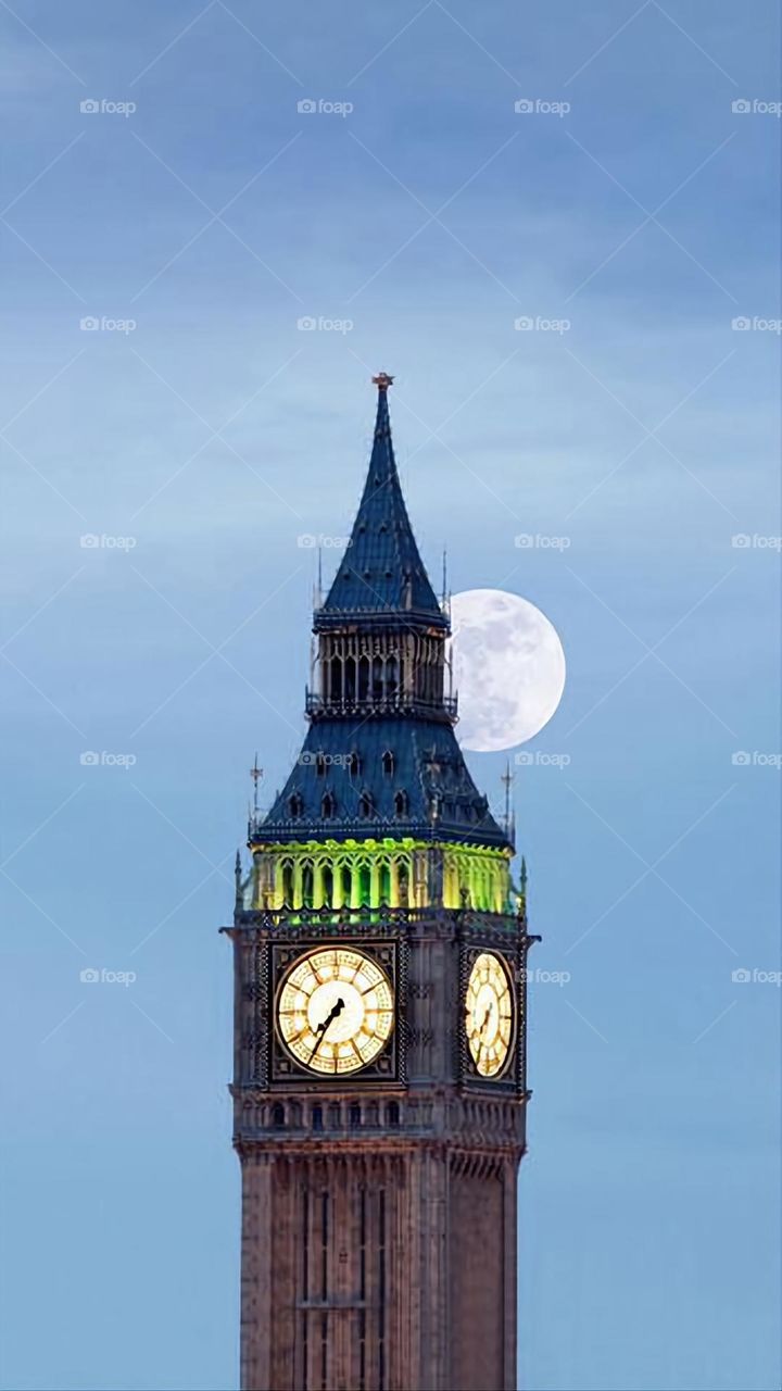 A very beautiful picture, and there is no better picture than it. There is no better picture of green herbs and colorful, red and white roses than it. Glory be to God, the natural and picturesque view, and there is no more