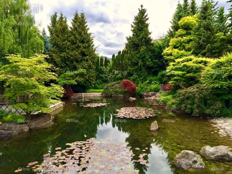 Japanese Garden