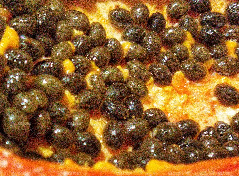 Editors' Choice: Photo of the Week