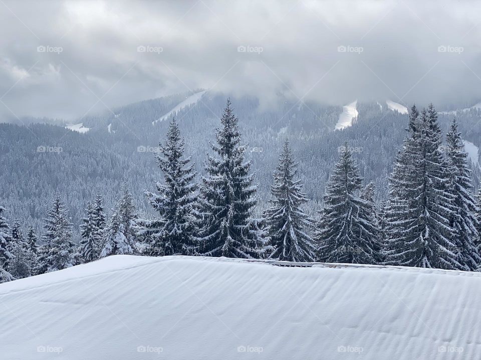 Beautiful winter landscape in Bulgarian resort Pamporovo
