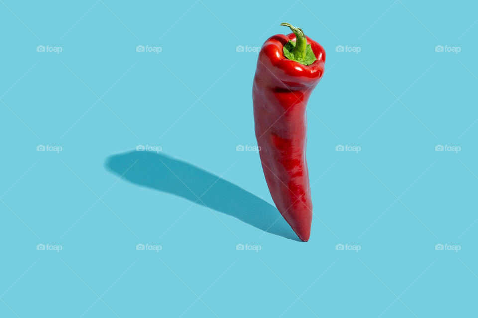 Red chilli pepper standing on a blue background