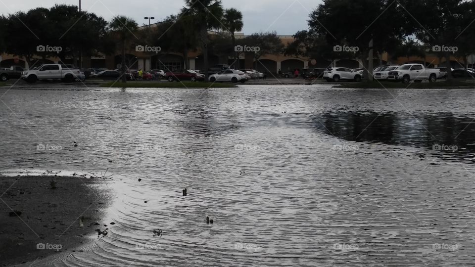 Flooded Lot