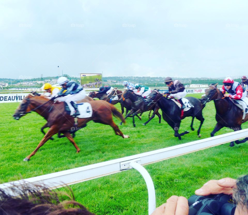 horse race in Deauville