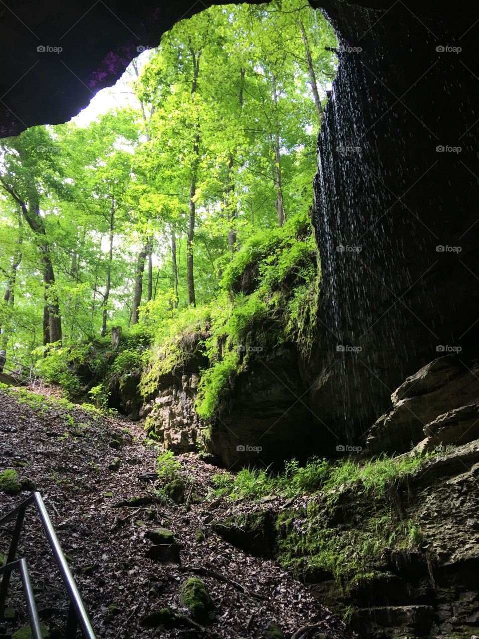 Exiting Mammoth Cave through the original entrance. Coming back to the light after darkness.